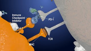 Immune Checkpoint Inhibitors The Next Generation Cancer Therapy  Creative Biolabs [upl. by Gaige]