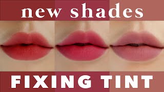 NEW SHADES 🤎Etude House FIXING TINT All Shade Swatches amp Comparisons  신상컬러 에뛰드 픽싱틴트 전색상 발색 amp 비교 [upl. by Marlen]