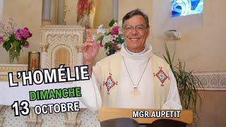 Homélie Mgr Aupetit  dimanche 13 oct 2024 [upl. by Stormy]