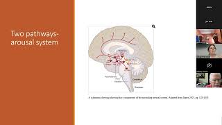 Dr Bodkin Sleep Presentation [upl. by Bara]