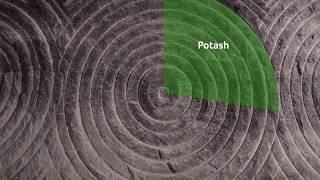 Nutrien What Is Potash [upl. by Uthrop874]