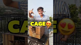 New Cage For Cats 💀😍  Mini Vlog shorts minivlog ashortaday vlog tranding cats [upl. by Eimas]