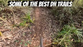 these are some of the best dh trails [upl. by Eldwen713]