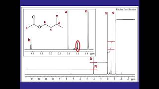 How To Label NMR Spectra [upl. by Iddo715]