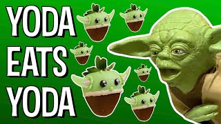 YODA EATS YODA  The Puppet Yoda Show [upl. by Ahsinotna]