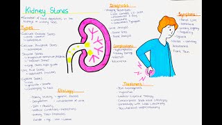 Kidney Stones Nephrolithiasis  Types Causes Diagnosis Symptoms Treatment Diagnosis [upl. by Forta]