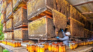 How Biggets Bee Farms Raise Billions Bees And Process Millions Tons Of Honey  Honey In Factory [upl. by Ecyned870]