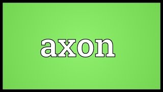 Axon Meaning [upl. by Rhianna]