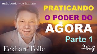 PRATICANDO O PODER DO AGORA  Eckhart Tolle  Parte 1  Audiolivro [upl. by Liag]