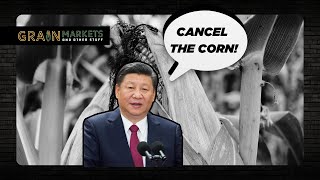 China Might Be Canceling Corn Purchases [upl. by Dualc911]