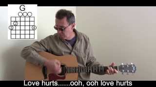 Love Hurts Cover with LyricsChords to Play amp Sing Along  P26 [upl. by Brost656]