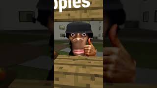 Escape Nextbots My Name Is Aughhh And Apple Cats Wants Apple gmod [upl. by Lexi699]