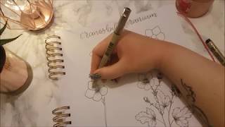 How I Draw Flowers with Lana Makes Step by step  Cranesbill Geranium [upl. by Aihseyn]