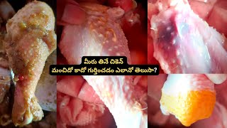 Surprising Facts About Chickens  Chicken Breeds  Chicken curry  RakuriDiaries [upl. by Welton]