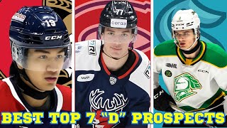 Who Are the Best Defensemen Prospects NHL Draft [upl. by Norrad]