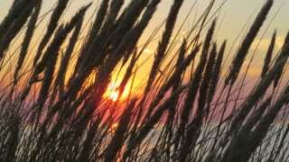 Katwijk natuur zomer 2013 Met prachtige zonsondergangBeautiful sunset [upl. by Thurmann515]