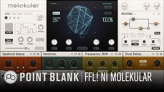 Native Instruments Molekular  How it Works FFL [upl. by Robertson147]