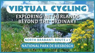 Fietsroute Nationaal Park De Biesbosch  Virtueel Fietsen [upl. by Pettifer]