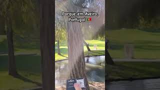 Parque lindo em Aveiro Portugal 🇵🇹 aveiro aveiroportugal parque passeio domingo novembro [upl. by Arod411]