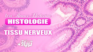 HISTOLOGIE 1ère année  TMC CAMP  TISSU NERVEUX  By Rania [upl. by Charissa294]