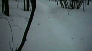 Little Manistee Michigan Motorcycle trail snow ride Pt 1 [upl. by Aivin]