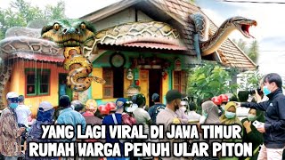 Viral  Warga Beramairamai Melihat Rumah Penuh Ular Piton Berukuran Raksasa [upl. by Iborian]