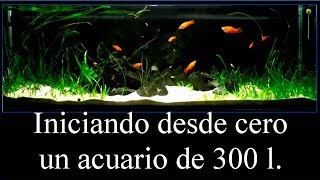 Acuario 300 litros Inicio y montaje desde cero [upl. by Venditti]