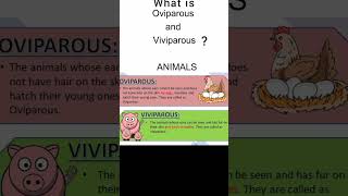 What is Oviparous and Viviparous animals3 10th Class syllabus and GK amp Current affairs points [upl. by Elwee]