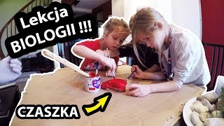 Malujemy Czaszkę BORSUKA   Lekcja Biologii dla Dzieci Vlog 428 [upl. by Timms]