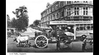 Remembering Singapore【獅城舊事】1900年  1930年新加坡經歷牛車到電車的歷史畫面 牛車是新加坡首批交通工具 也曾經運載水 19世紀末 人力車才普遍使用 三輪車是代步工具 [upl. by Gitt431]