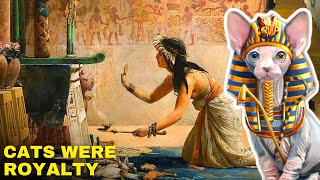 Why Did Ancient Egyptians Worship Cats [upl. by Kciwdahc359]