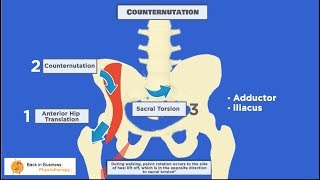 Pelvic Malalignment [upl. by Sivrad]