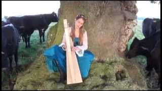 Hands on Harps Concert to Cows [upl. by Solis]