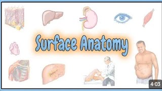 surface anatomy pharmacytechniciandiploma pharmacist studywithme Raheembakhsh9791 [upl. by Robena]