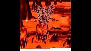 Defeated Sanity  Butchered at Birth Cannibal Corpse cover [upl. by Melli917]