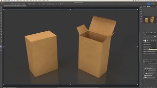 3D Packaging Modeling  Adobe Ai  Contact Us [upl. by Alithea]