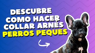 ✅ Aprende paso a paso COMO HACER Arnés de cuello PARA PERROS PEQUES [upl. by Friedland]