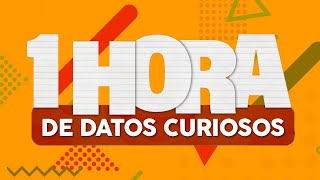 1 HORA de DATOS CURIOSOS⏰🤯 [upl. by Eibocaj]