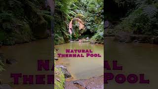 Thermal Pool in the forest  Azores Island [upl. by Polish]