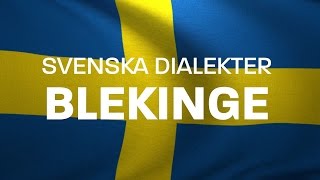 Svenska Dialekter – Blekingska  Blekingemål  Voice To Me [upl. by Aitenev]