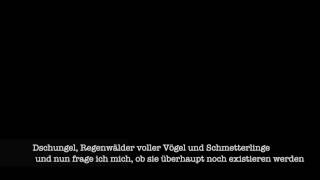 RIO 1992 UN Konferenz über Umwelt  deutsche Übersetzung [upl. by Ennis381]