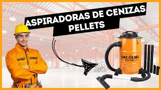 Mejores ASPIRADORAS de CENIZAS PELLETS de 2024 ✅ BARATAS  CALIDAD  PRECIO  AMAZON [upl. by Schonfield353]