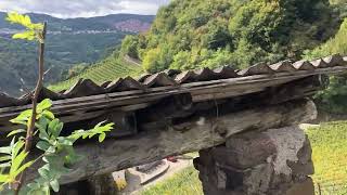 I vigneti terrazzati della Val di Cembra [upl. by Notnef]