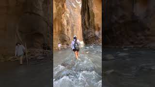 Zion National Park Narrows Hike A Must Do Adventure zionnationalpark hikingadventure hiking [upl. by Aicerg]