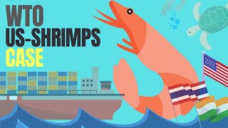 WTO disputes explained  US Shrimps Turtle case  Trade Law  Lex Animata by Hesham Elrafei [upl. by Liebowitz]