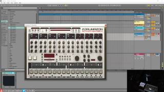 How To Get Ableton Drum Racks To Work With D16 Plugins [upl. by Eelirak]