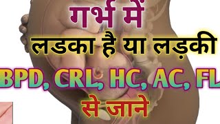 गर्भ मे लड़का है या लड़की जाने BPD CRL HC AC FL से gender prediction with pregnancy parameters [upl. by Kiyohara507]