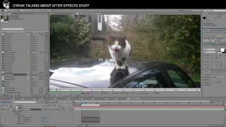 After Effects Sunday Stream Kitty City [upl. by Brande]