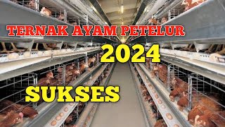 Sukses Ternak Ayam Petelur 2024 [upl. by Arlen]