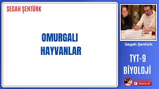 OMURGALI HAYVANLAR  TYT BİYOLOJİ  9SINIF BİYOLOJİ  YKS 2025 [upl. by Cowen]